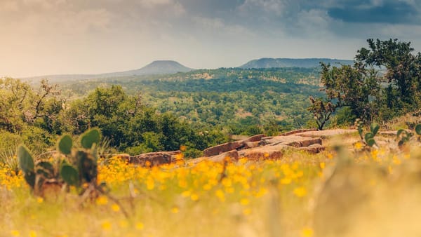 Explore Texas: 5 Scenic Road Trips With Get Drivers Ed