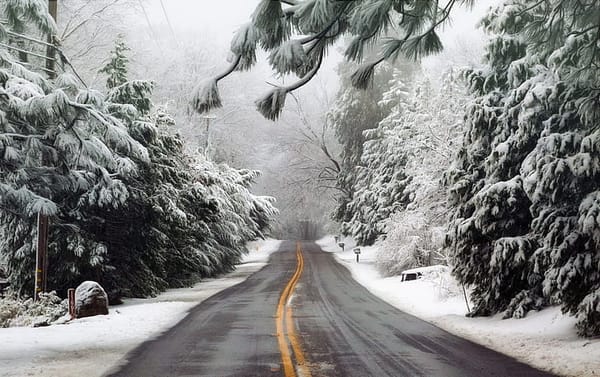 Top 5 Dangerous States for Driving - Stay Safe with Get Drivers Ed